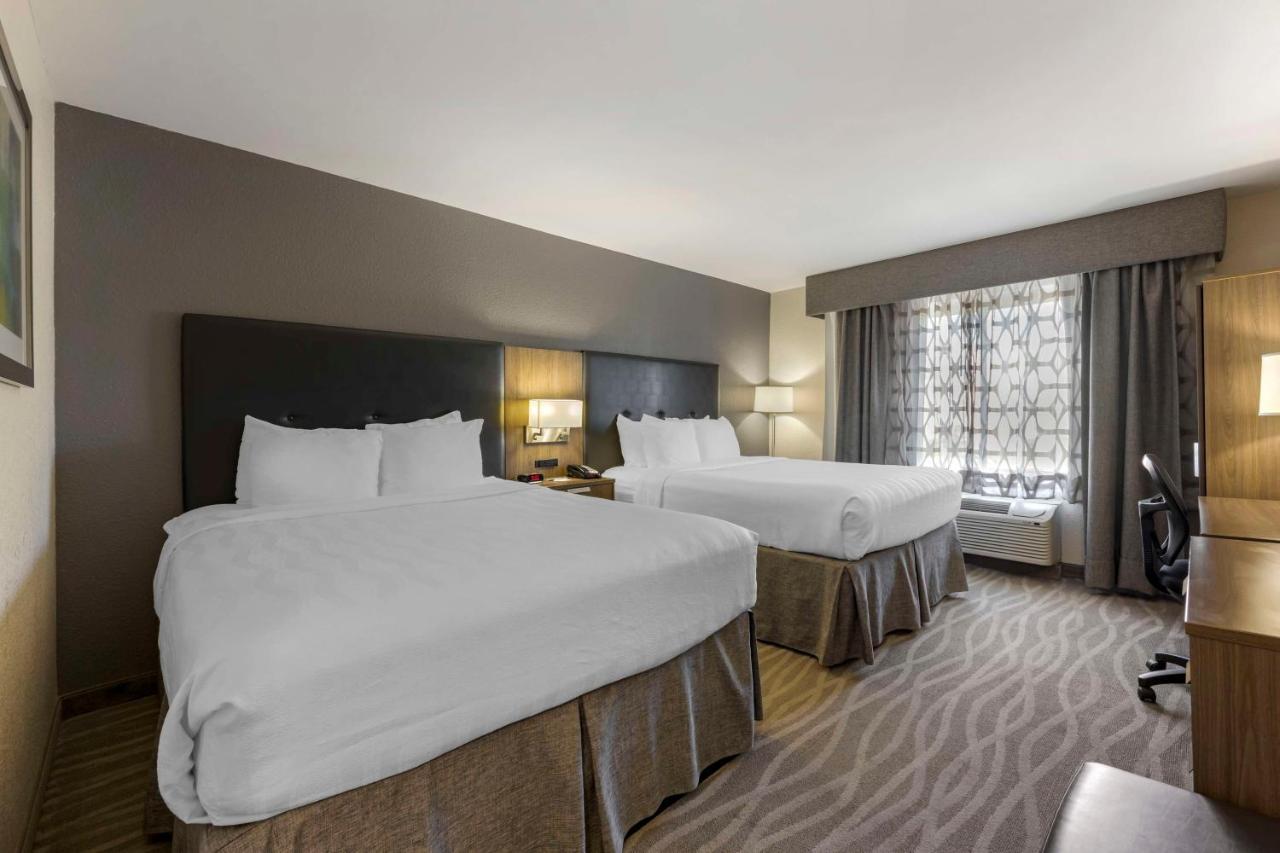 Zimmer mit 2 Queensize-Betten